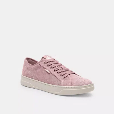 Coach Canvas Sneaker In Pink