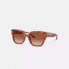 Coach Charms Oversized Square Sunglasses In Caramel Tortoise