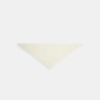 Coach Cashmere Knit Small Triangle Scarf In Neutral