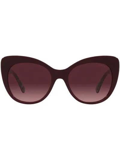 Coach Cat-eye Frame Sunglasses In Brown