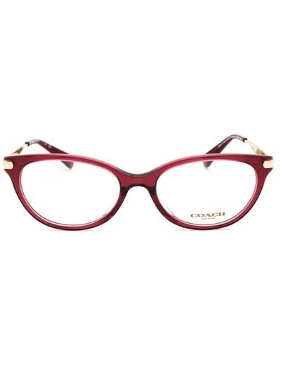 Coach Cat Eye Women's Eyeglasses