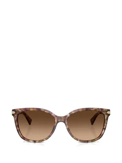Coach Cat-eye Sunglasses In Brown