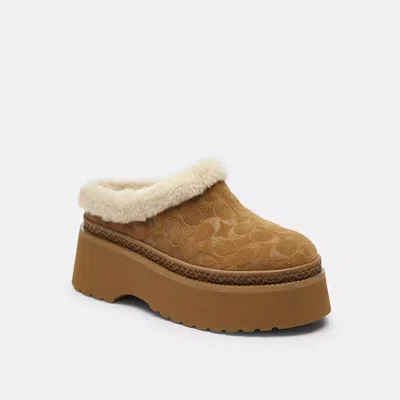 Coach Cecelia Clog In Signature Suede In Brown