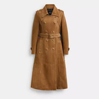 Coach In Cedar