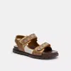 Coach Ch In Brown