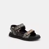 Coach Ch In Multi