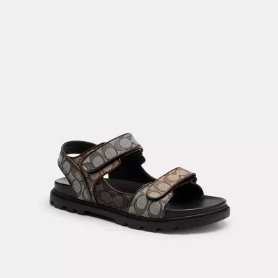 Coach Ch In Multi
