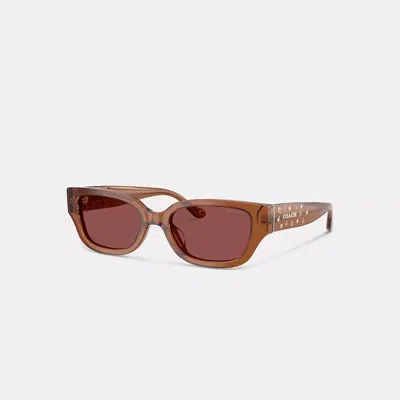 Coach Charms Narrow Rectangle Sunglasses In Brown