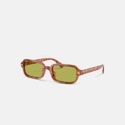 Coach Charms Narrow Rectangle Sunglasses In Green