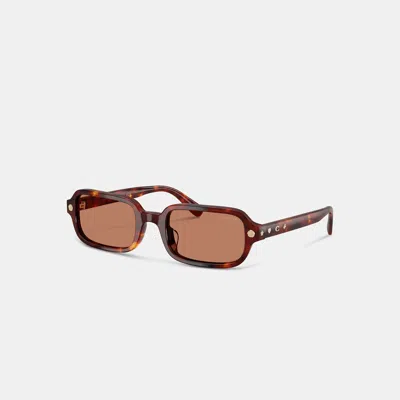Coach Charms Narrow Rectangle Sunglasses In Walnut Tortise