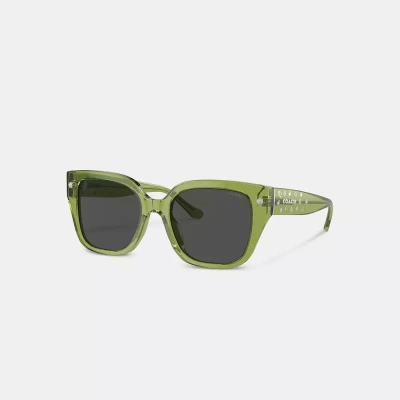Coach Charms Oversized Square Sunglasses In Green