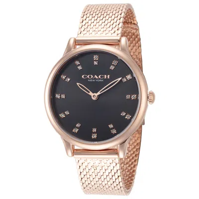 Coach Chelsea Women's Watch In Metallic