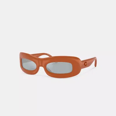 Coach Chunky Narrow Rectangle Sunglasses In Brown