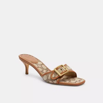 Coach In Cocoa/burnished Amber