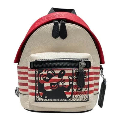 Pre-owned Coach Color Leather Shoulder Bag Sling Bag () In Multi