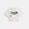 Coach Cropped T-shirt Mit -schriftzug In Schreibschrift Und Skizzen-print In Multi