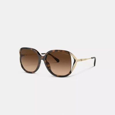 Coach Bandit Oversized Square Sunglasses In Dark Tortoise/gold