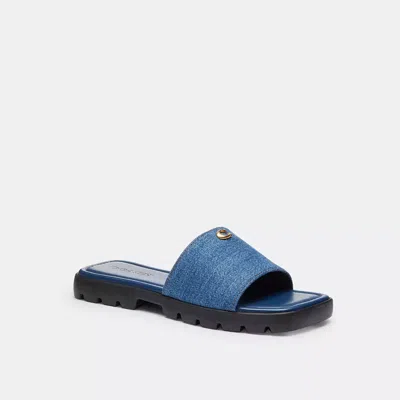 Coach In Deep Blue