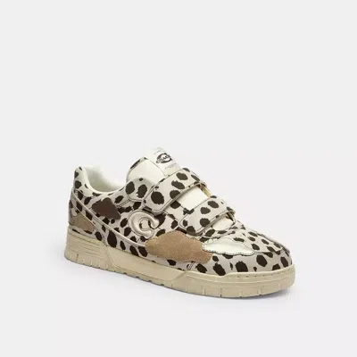 Coach Double Strap Soho Sneaker With Clouds In Animal Print