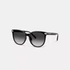 Coach Embedded Signature Round Sunglasses In Black