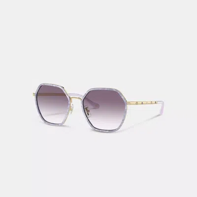 Coach Embellished Narrow Metal Hexagon Sunglasses In Purple