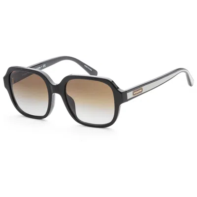 Coach Fashion Women's Sunglasses In Black