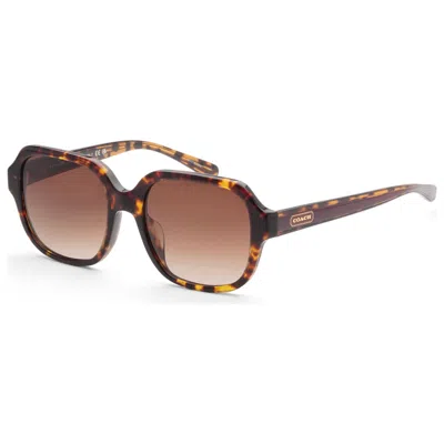 Coach Women's 53 Mm Dark Tortoise Sunglasses In Brown