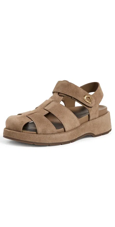 Coach Fisherman Sandals Coconut Suede In Brown