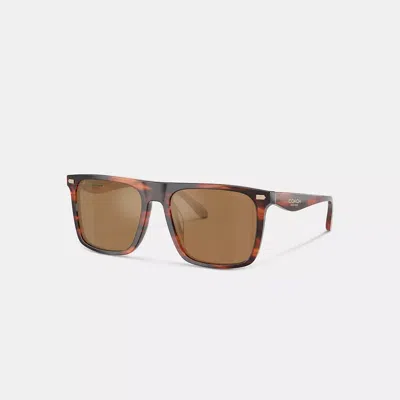Coach Flat Top Square Sunglasses In Brown