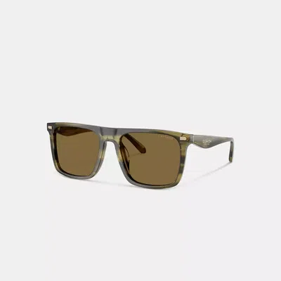 Coach Flat Top Square Sunglasses In Green
