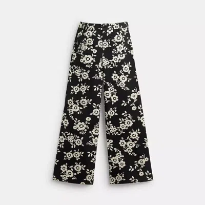 Coach Floral Printed Pants In Regenerative Cotton