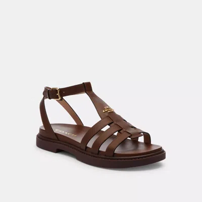 Coach Franny Sandal In Brown