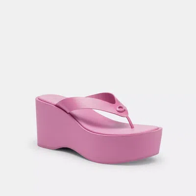 Coach Sculpted C Platform Flip Flop In Fuchsia