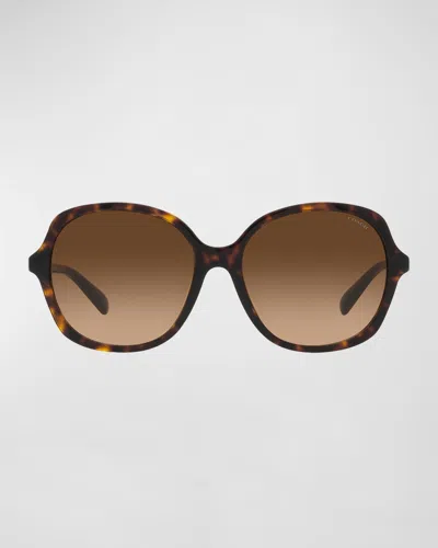 Coach Gradient Square Acetate Sunglasses In Brown