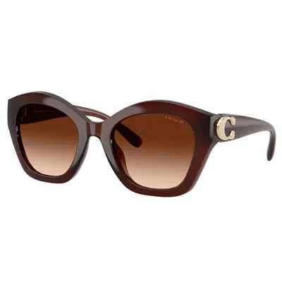 Coach Hc 8421u 584174 54mm Womens Irregular Sunglasses In Multi