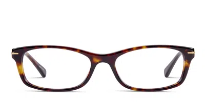 Coach Hc6054 Elise Tortoise