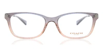 Coach Hc6142 Women's Glasses, Purple, Size 51