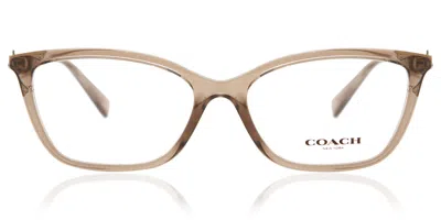 Coach Hc6146u 5561 Women's Glasses Brown Size 53 - Free Lenses - Blue Light Block Available