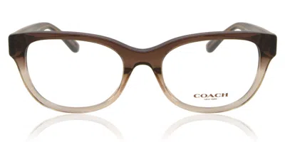 Coach Hc6187 Women's Glasses, Brown, Size 52