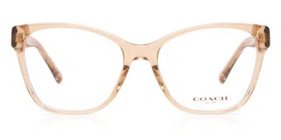 Coach Hc6207u Asian Fit Women's Glasses, Brown, Size 54