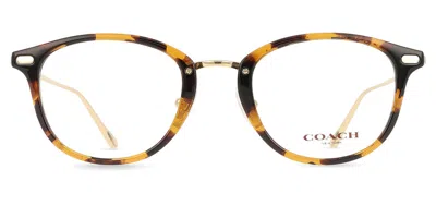 Coach Hc6230d Asian Fit Women's Glasses, Tortoiseshell, Size 48 In Brown