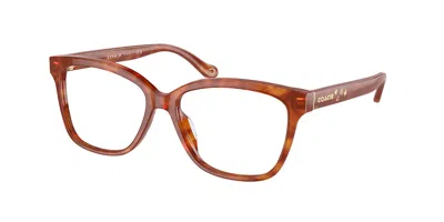 Coach Hc6242u Women's Glasses, Tortoiseshell, Size 53