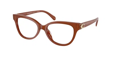 Coach Hc6247u Women's Glasses, Brown, Size 51
