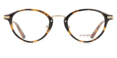 Coach Hc6268d Vestibilità Orientale 5120 Occhiali Da Vista Tartarugatishell Per Donna (solo Montatura) In Brown