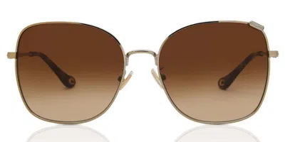 Coach Hc7133 C7997 900574 Women's Sunglasses Gold Size 57 In Multi