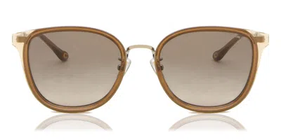 Coach Hc7135 C7999 565413 Women's Sunglasses Brown Size 54