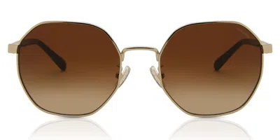 Coach Hc7147 Ch556 Asian Fit 900574 Women's Sunglasses Gold Size 56