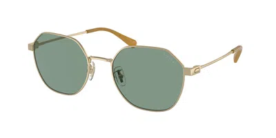 Coach Man Sunglass Hc7155 Cl915 In Green