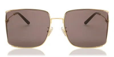 Coach Hc7174d Cw429 Asian Fit 94417n Women's Sunglasses Gold Size 59