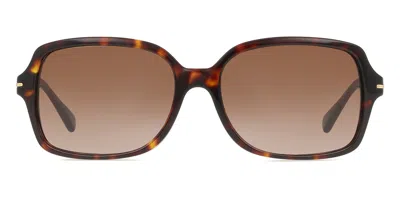 Coach Hc8116 L087 Blair 500113 Women's Sunglasses Tortoiseshell Size 56 In Brown